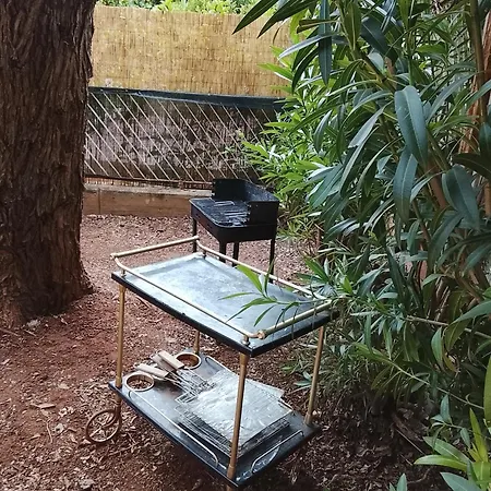 Garden Sam Villa Palermo